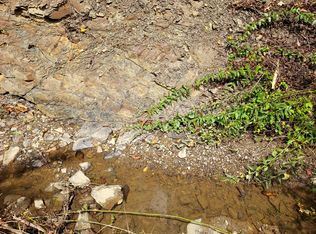 0 Panther Creek Rd, Sneedville, TN 37869