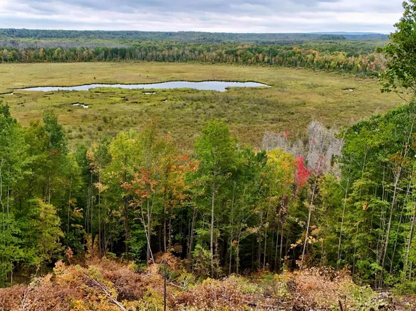 19 Norwich Rd, Ontonagon, MI 49953