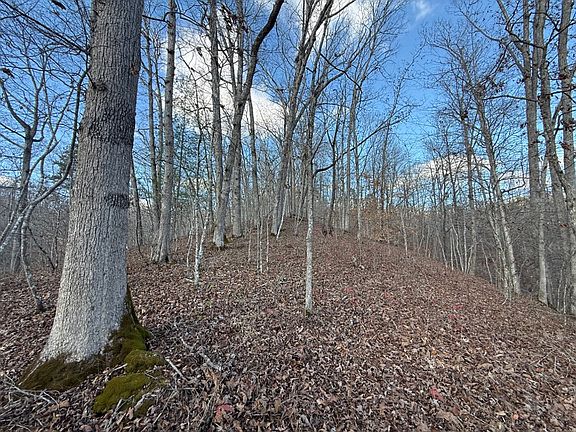 Ascending up the hill at the south area of the property
