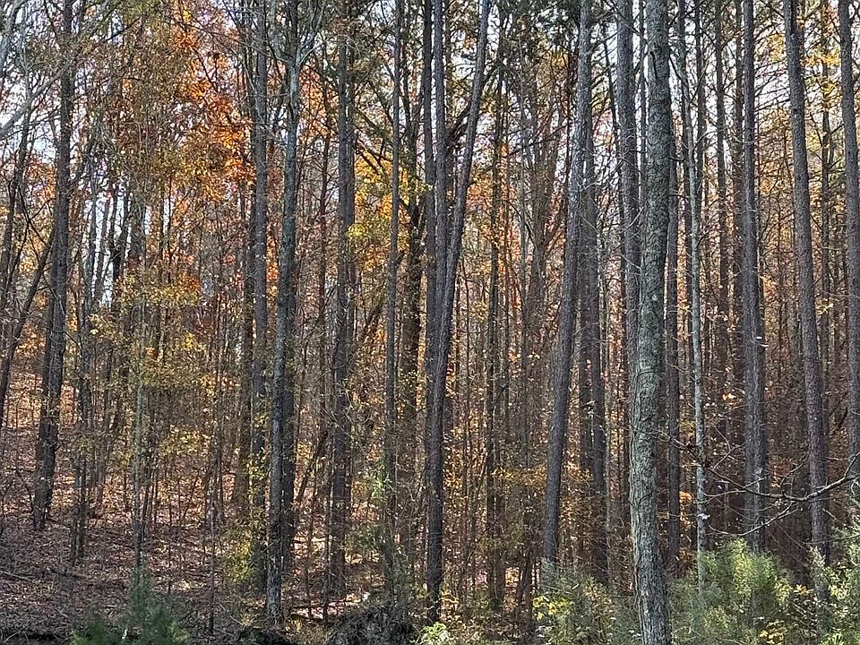 2nd image of 515 County Road 385
