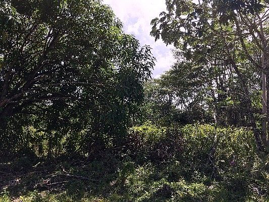 2nd image of 12th Ave Lot 627