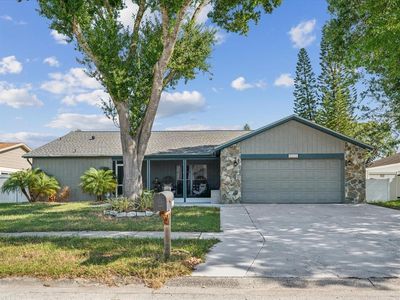 12819 Tallowood Dr, Riverview, FL, 33579