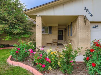 3544 Dyanna Drive, Thornton, CO, 80241
