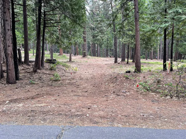 1 Ottawa Dr, Arnold, CA 95223