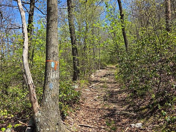 5th image of 0 McCabe Rd