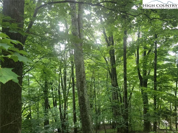 1526 Chestnut Ridge Trail, Seven Devils, NC 28604