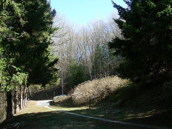 This is the view from the porch to the driveway