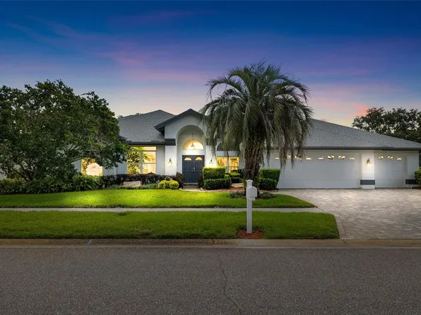 17301 Stetson Ln, Odessa, FL 33556