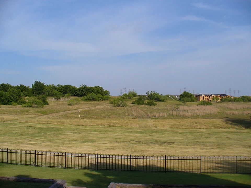 Backyard View