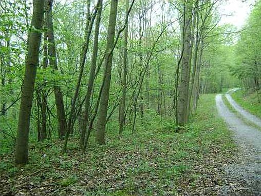 1st image of Oak Creek Ln