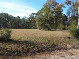 29056 Mary Kinchen Rd, Albany, LA 70711