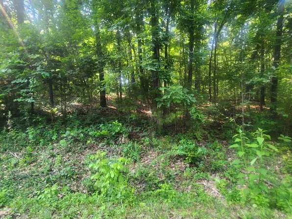 L-25 Navajo Trce #B, Cherokee Village, AR 72529