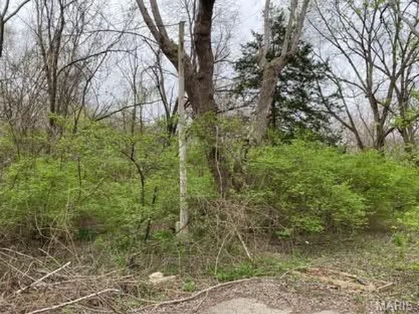 0 Jewell St, Park Hills, MO 63601