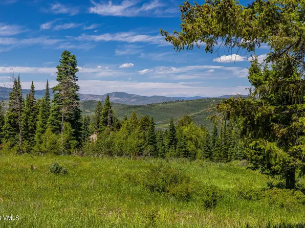 65 Cantle Pl, Edwards, CO 81632