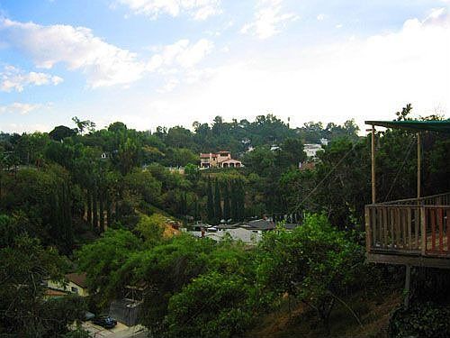 View from backyard