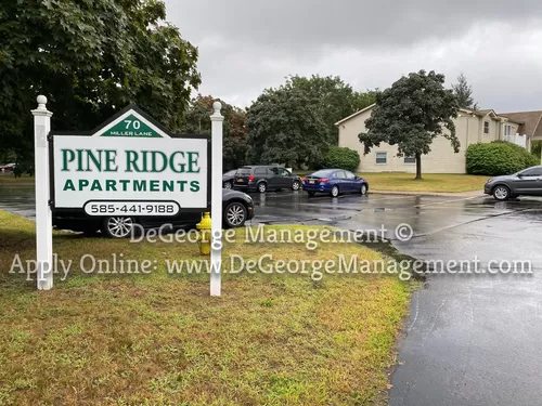 Primary Photo - Pine Ridge Apartments