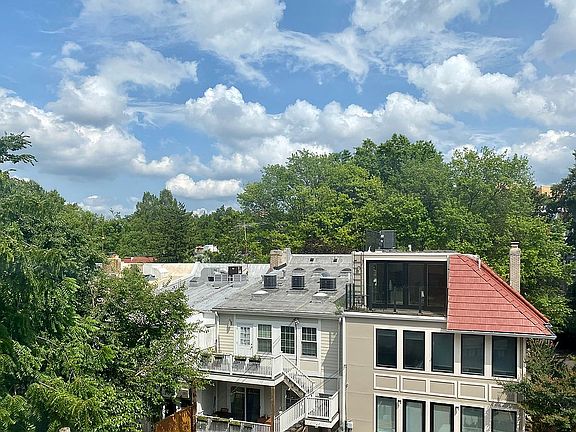 Treetop views