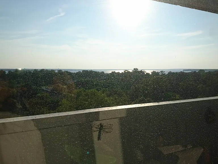 The view of the balcony towards the Ottawa River - during the winter.