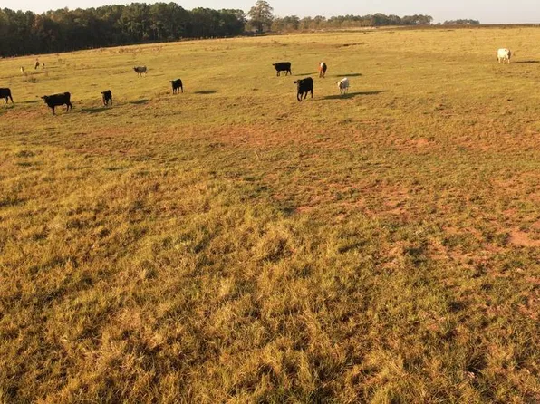 1261 W Bluffton Rd, Fort Gaines, GA 39851