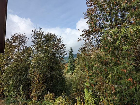 View from the deck.