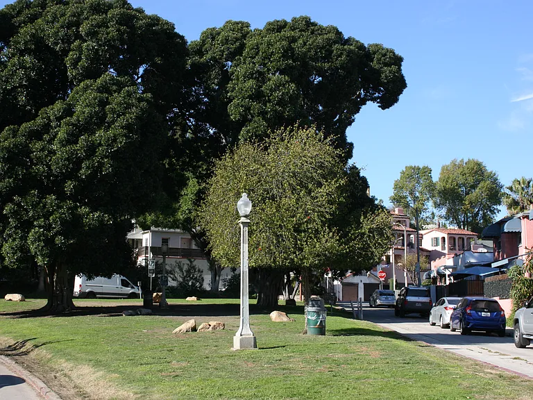Park in the front yard