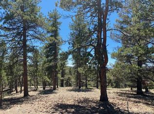 12 S Insmont Cir #23, Florissant, CO 80816