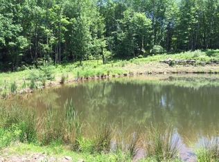 917 Horseshoe Lake Rd, Swan Lake, NY 12783