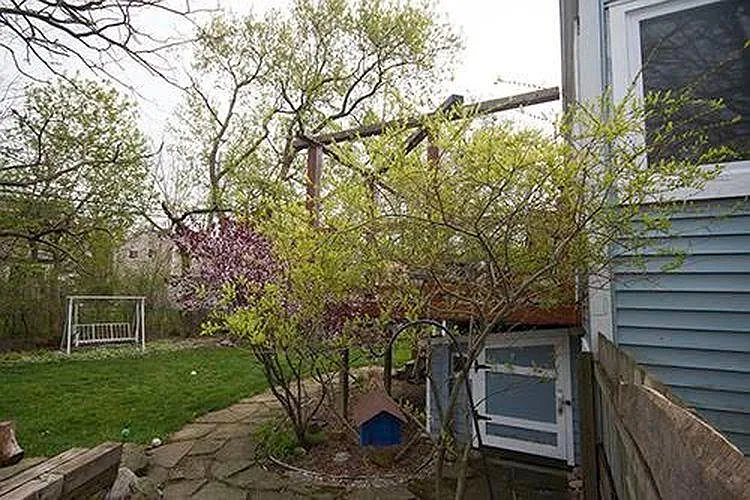 2169 Hemlock Dr — Photo 30