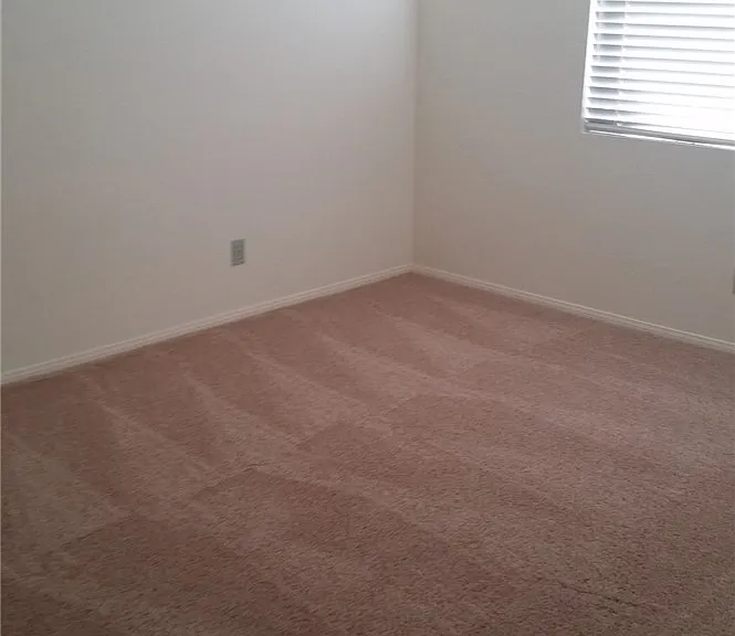 1513 War Paint Dr — Photo 22