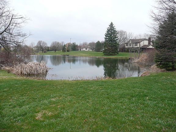 4th image of 593 Locust Ct