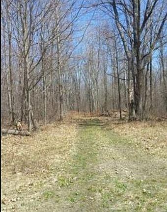 2nd image of 235 Stowell Rd
