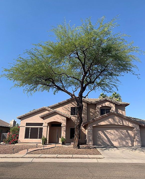1st image of 11081 N Tapestry Dr
