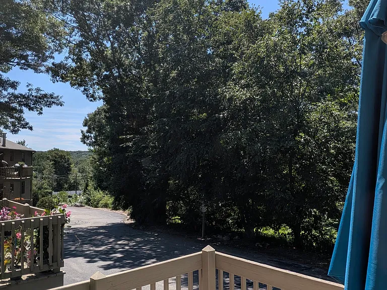 804 Pinewood Dr — Photo 11