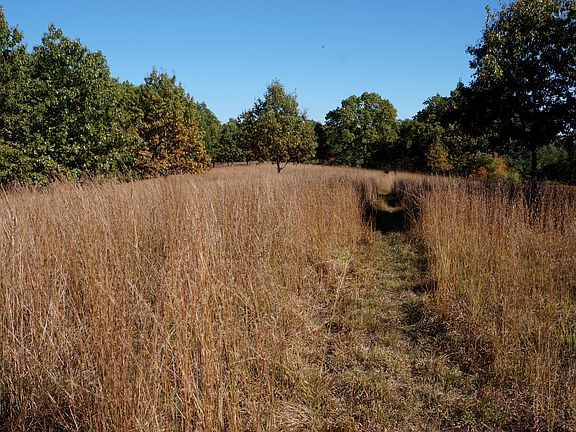 View looking East from barn