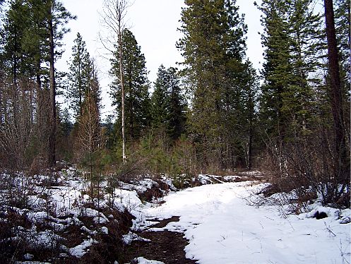 4th image of 2780 Blk Farm To Market Road