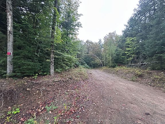 2nd image of 0 Queens Line Rd