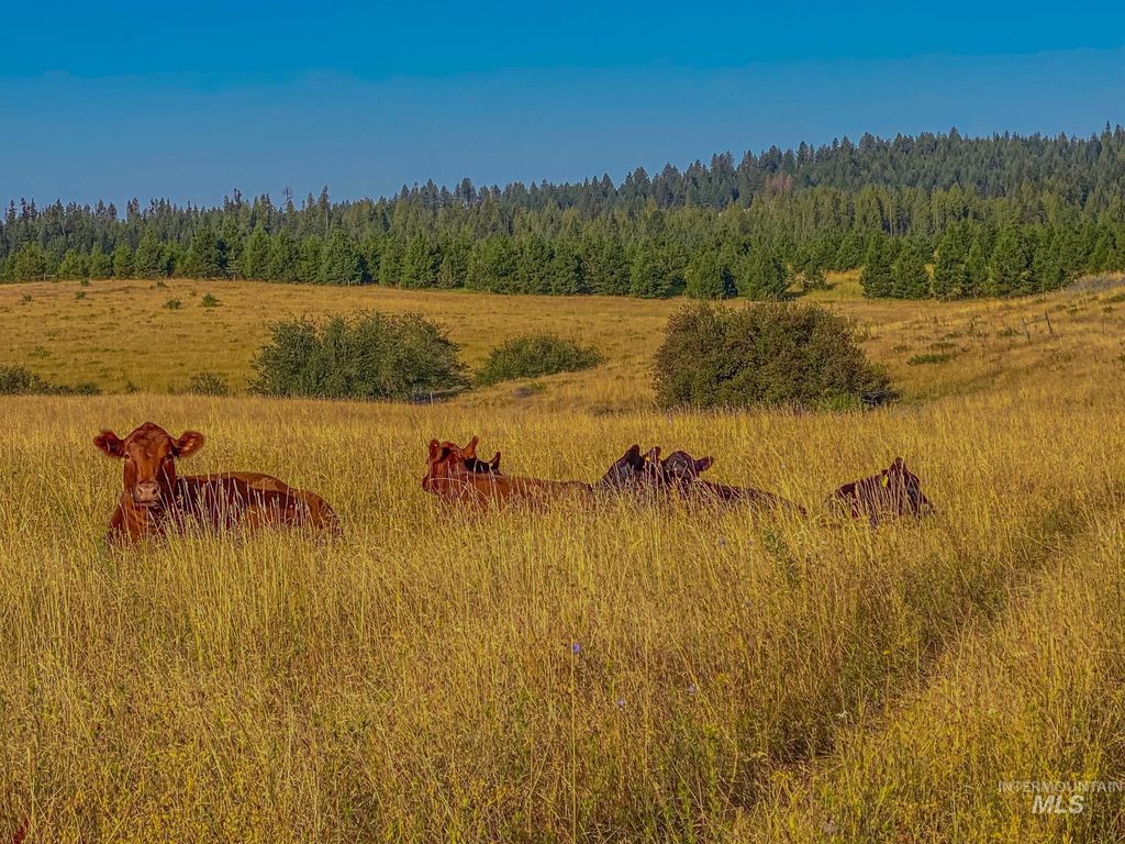 5404 Freeman Creek Rd, Lenore, ID - View 2