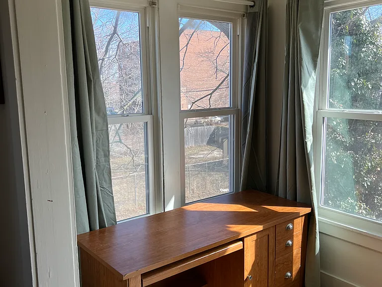 1191 Virginia Park #2C — Photo 6