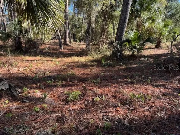 8779 N Ramble Poin #29, Dunnellon, FL 34434