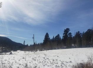 60 Cherokee Path #72, Lake George, CO 80827