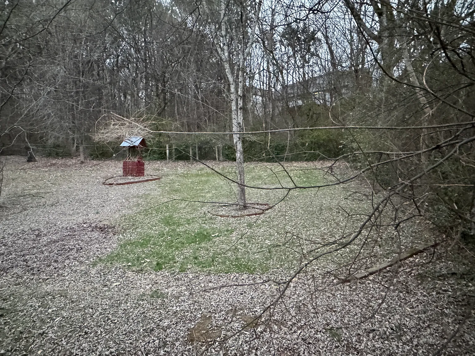 3 bed, 1700 sqft, $2,500 — Photo 3