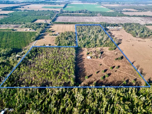 423 NW Keystone Dr, Mayo, FL 32066