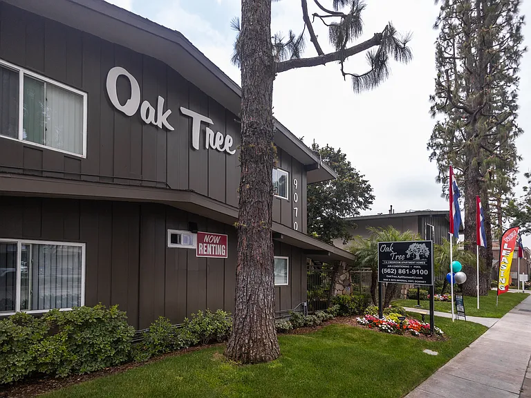 Oak Tree — Photo 13