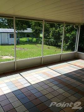 photo 2 (2)