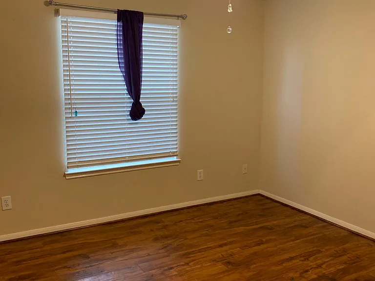 205 Mammoth Springs Ln — Photo 8
