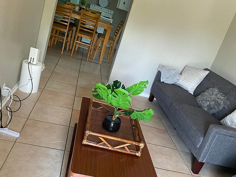 Carolyn St — Photo 10