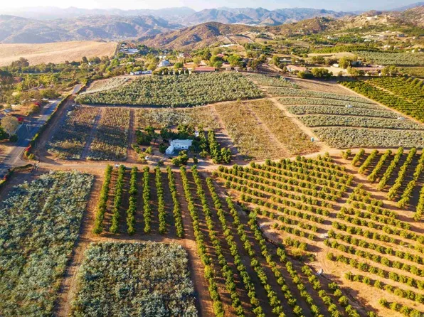31817 Via Ararat Dr, Bonsall, CA 92003
