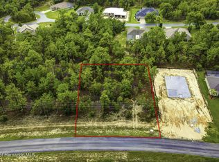 61 Glenridge Blvd, Homosassa, FL 34446