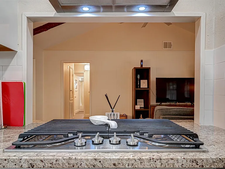 3903 Hermitage Hollow Ln — Photo 19