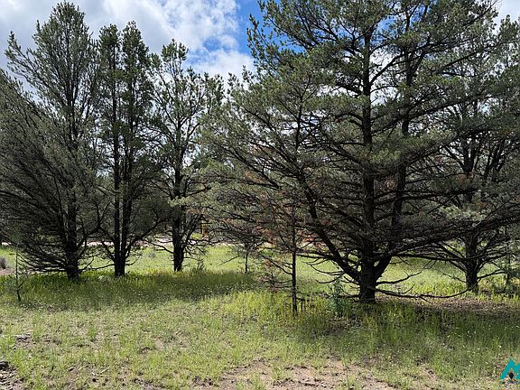 5th image of 85 Largo Canyon Loop #3